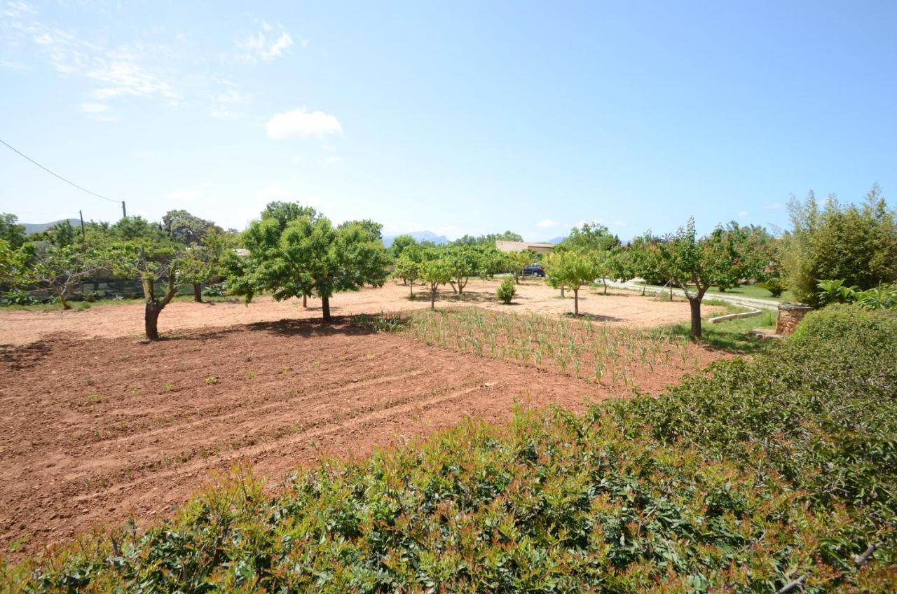 Villa Can Pau, Pool And Garden Close To The Beach Port d'Alcúdia Extérieur photo